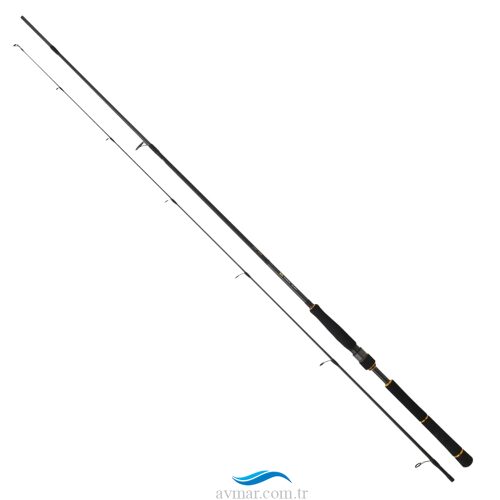 Daiwa New Bg Seabass 250cm 10-35gr Spin Olta Kamışı