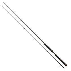 Daiwa New Bg Seabass 272cm 14-42gr Spin Olta Kamışı - 1