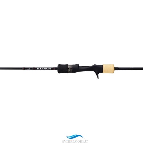 Daiwa Saltiga B5 185cm 250-400gr Tek P. Slow Jig Kamışı (1)
